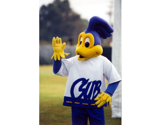 The Roadrunner CSUB mascot
