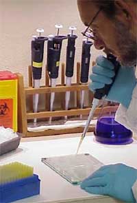 Scientist taking a sample