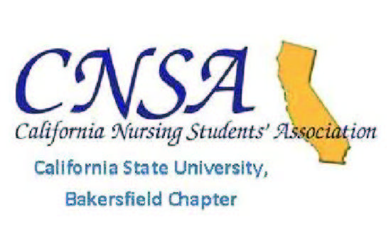 CNSA logo