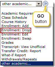 other academic drop down
