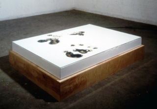 Untitled (Large Sugar 3) 2001