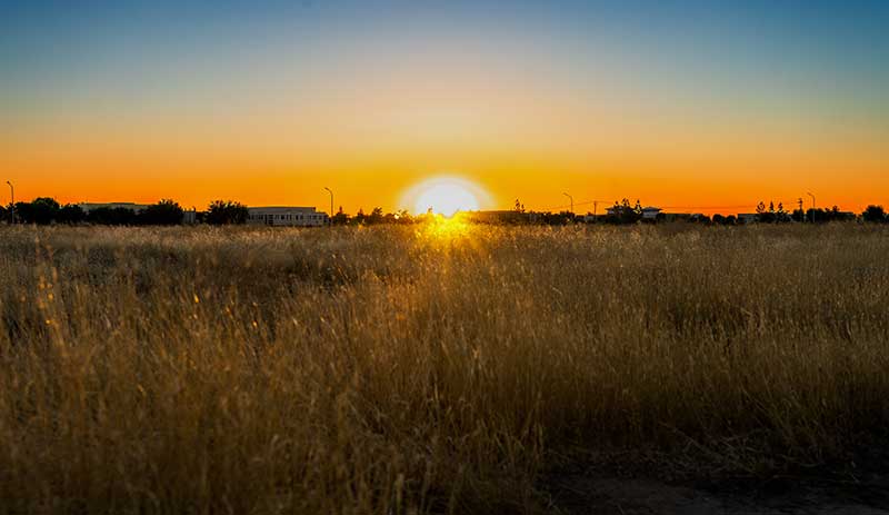 CSUB campus sunset