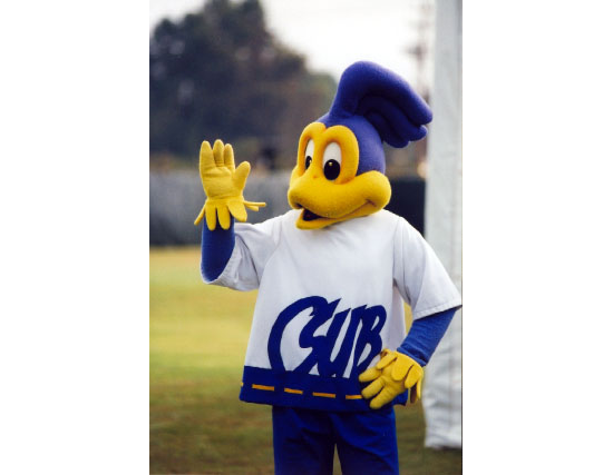 November 1970: Students vote for Rowdy as mascot