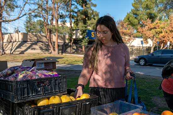 CSUB Edible Garden