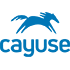 Cayuse Logo