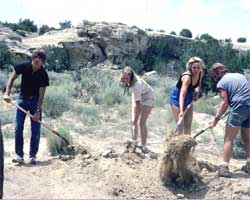 Backfilling the Latrine