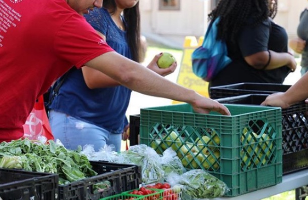 People pulling apples out of a green crate