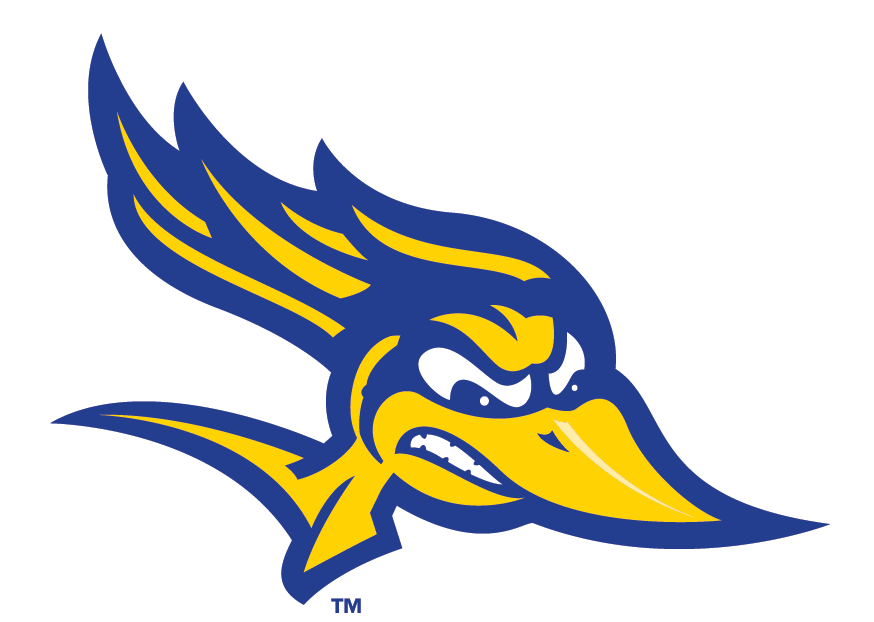 CSUB Roadrunner head