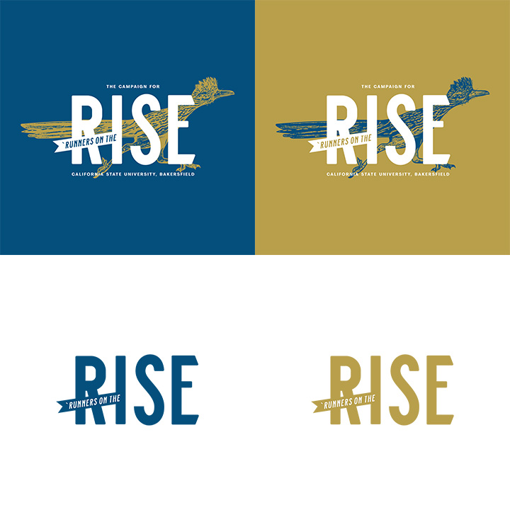 Color variations for `Runners on the Rise campaign