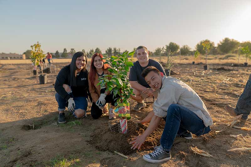 CSUB students planting outdoors