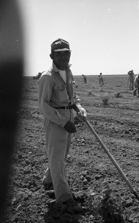 A smiling farmer working in a field in Delano