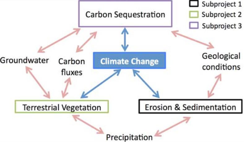 Flow graph of various carbon cycles.