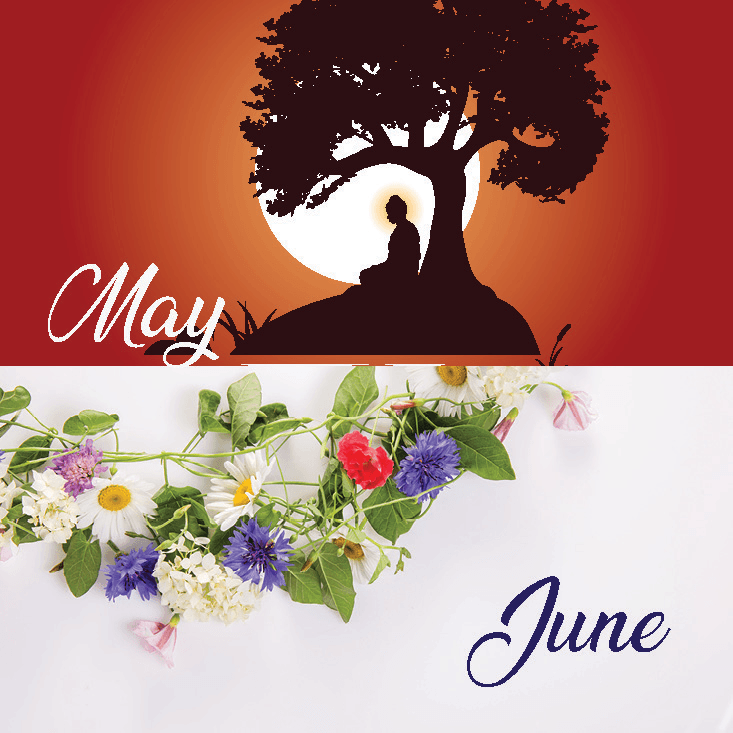 May - June