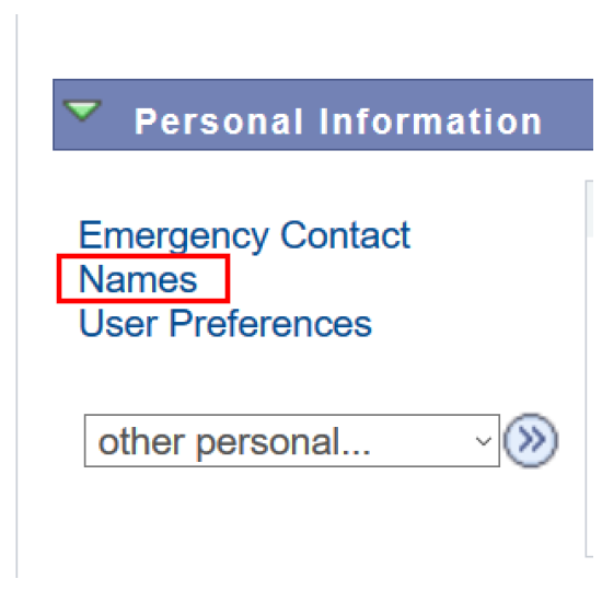 Screenshot of MyCSUB Personal Information section, highlighting Names selection.
