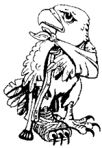 FACT logo - the ill eagle - a Bald Eagle with sling on wing and leg in cast