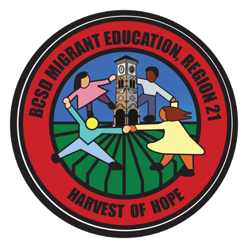 Region 21 logo