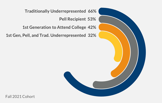 Infographic showing student enrollment profile data