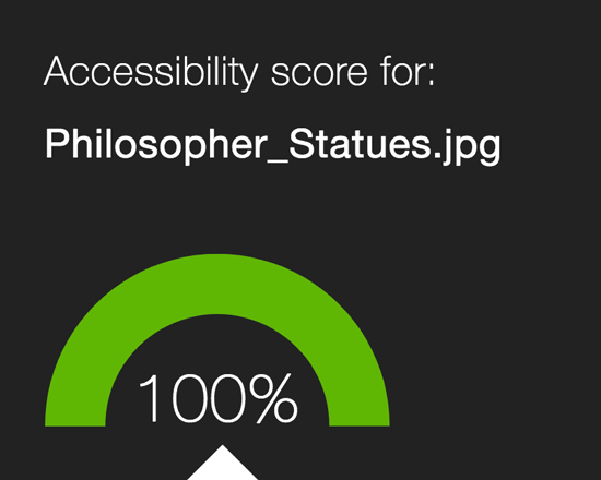 Example of perfect accessibility score in Ally