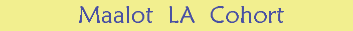 Top Bar Header
