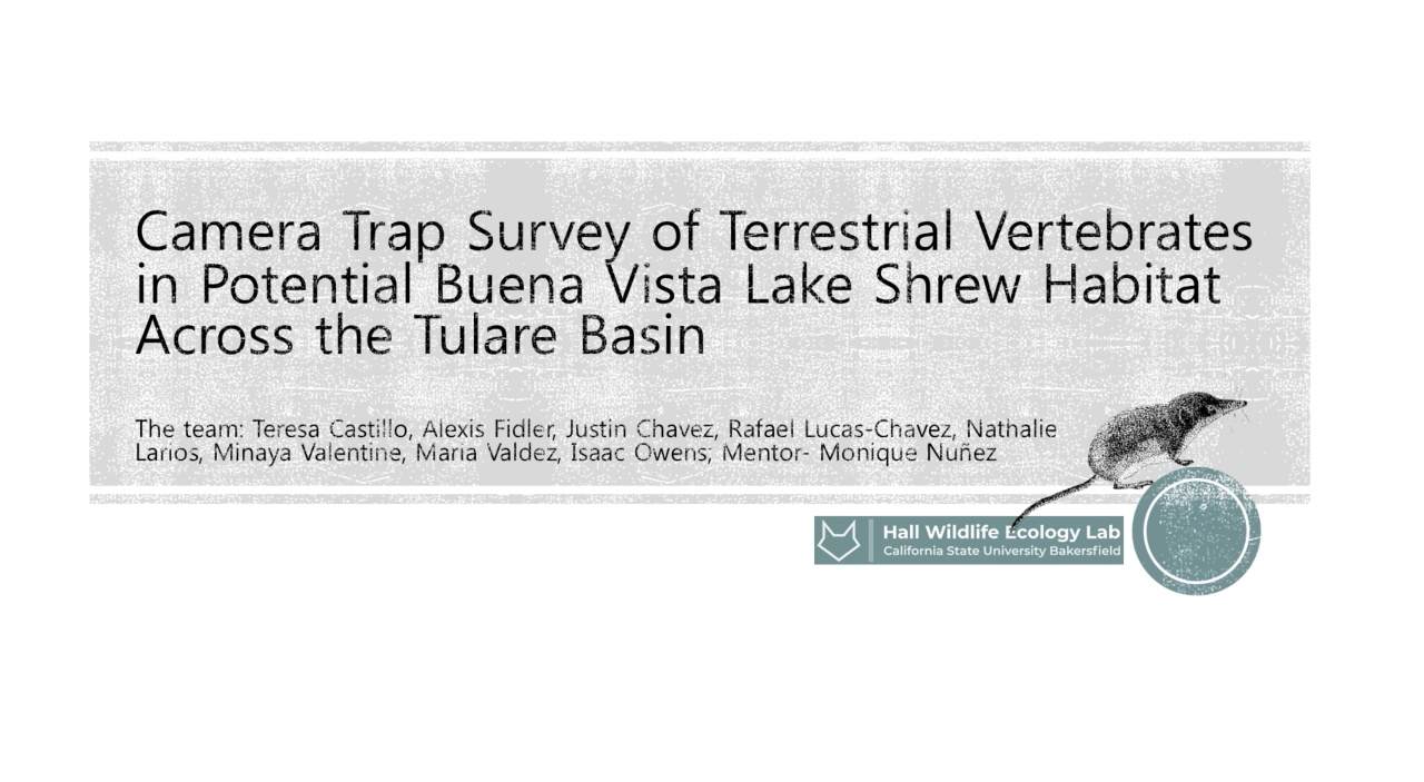 Camera Trap Survey thumbnail