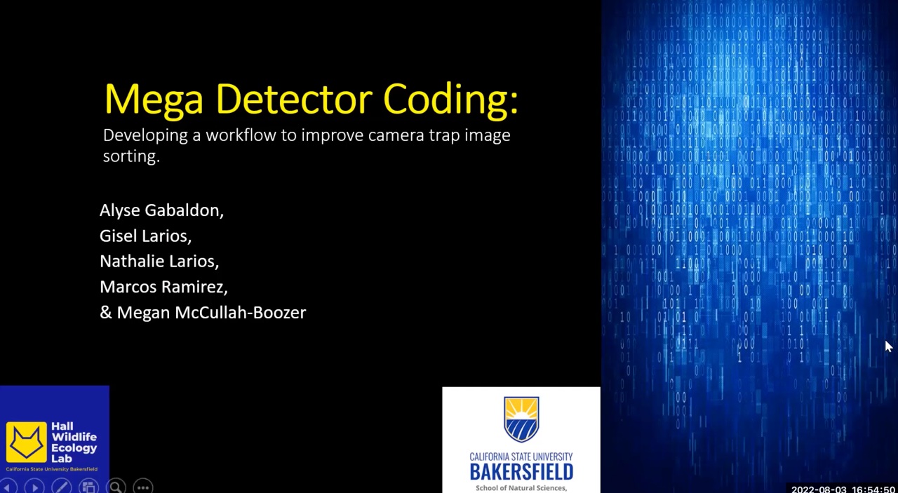 Mega Detector Coding thumbnail