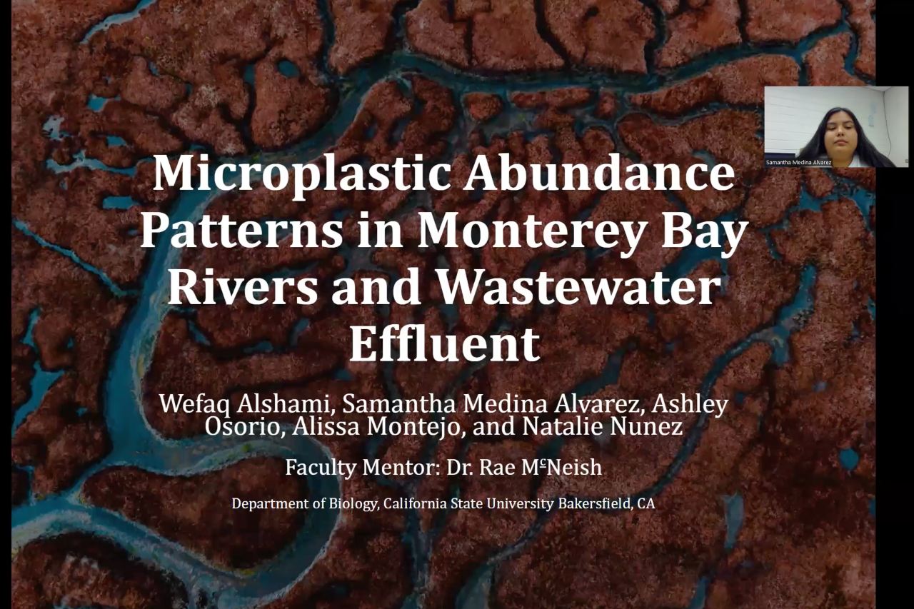 Microplastic Abundance Patterns thumbnail