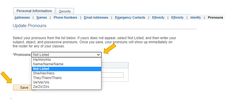 Screenshot of MyCSUB Pronoun section.