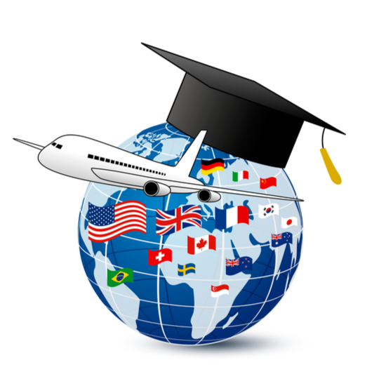 Cartoon globe covered with many flags, a graduation cap, and an airplane