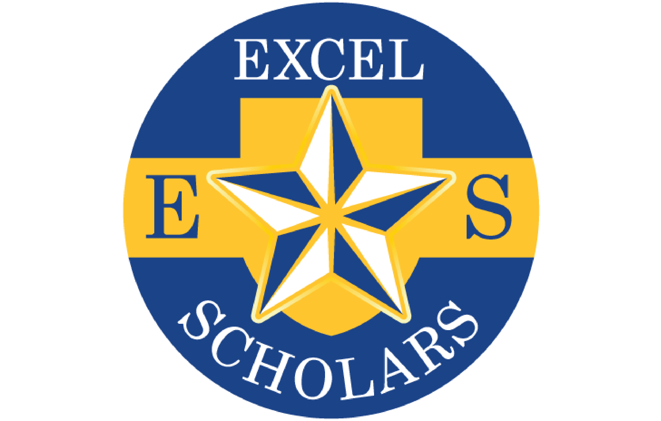 Excel Scholars New logo