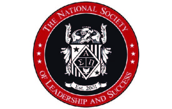 NSLS logo