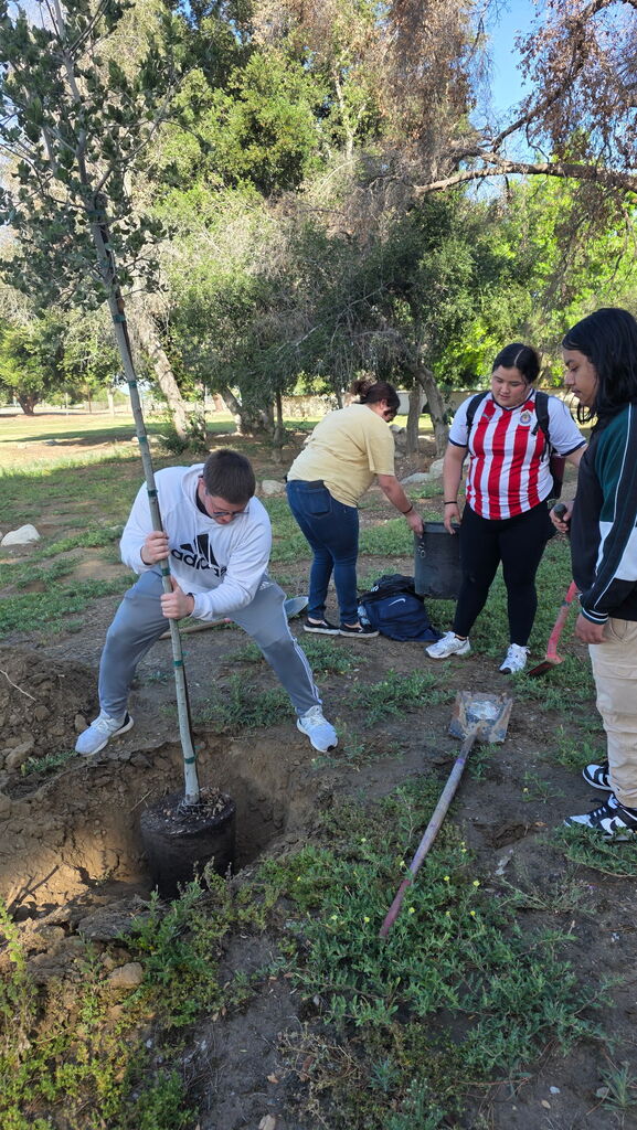 Students Planting Tree 2