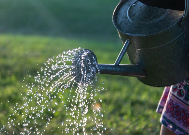 Watering can sprinkling water onto the ground