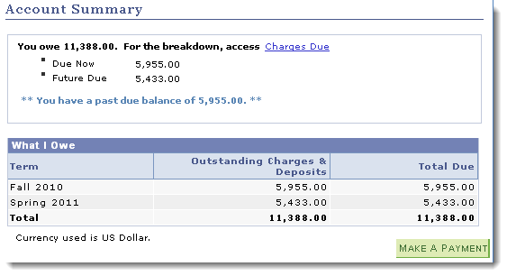 Account summary