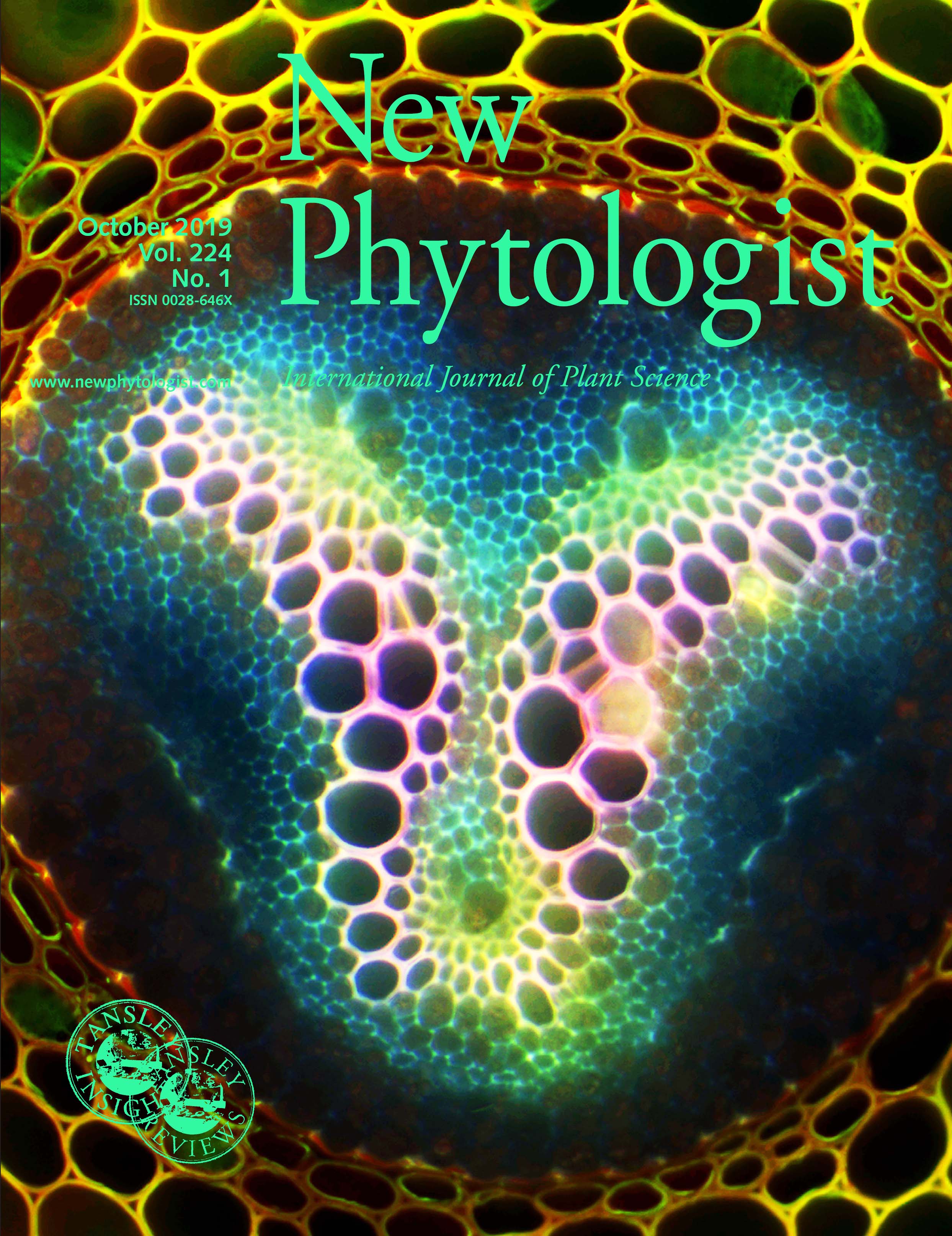 New phytologist journal cover Oct 2019