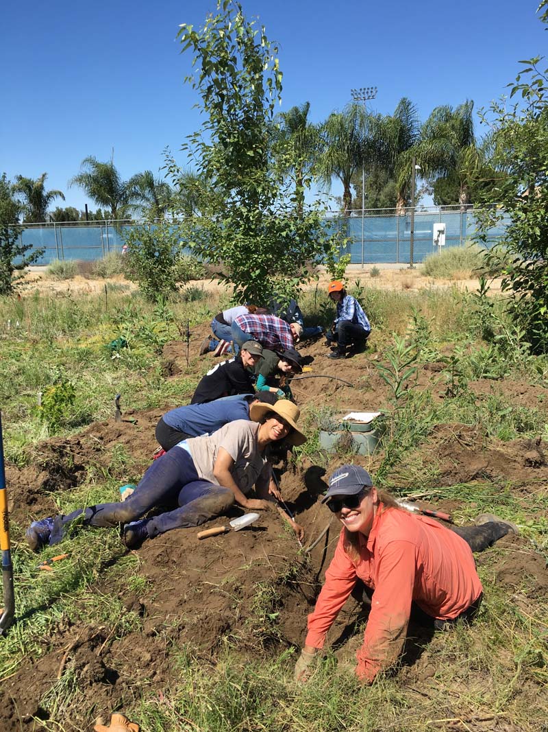 Lab group working to excavate tree roots