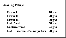 Text Box: Grading Policy:  
     
Exam I			70 pts
Exam II			70 pts
Exam III			70 pts
Lab final			50 pts
Lecture final			75 pts
Lab Dissection/Participation	20 pts
