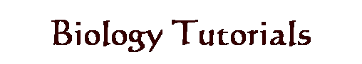 Text Box: Biology Tutorials
