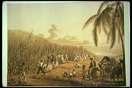 a painting