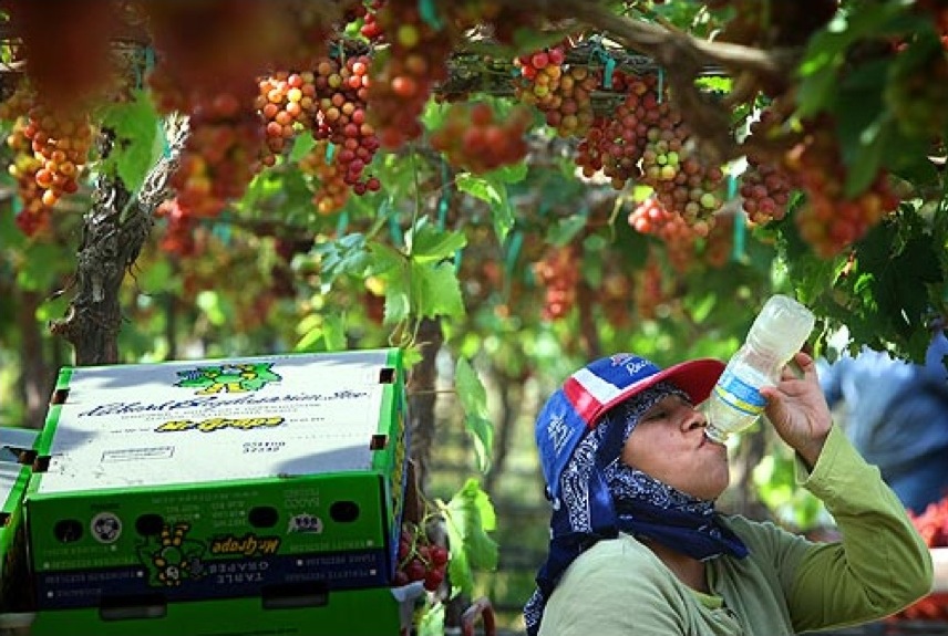farmworker