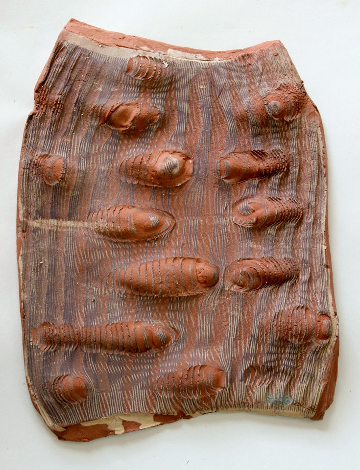 Clay and Iron