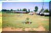 phim school 4