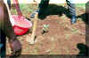 phim school 5