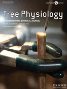 Tree Phy Cover Single Vessel Injection