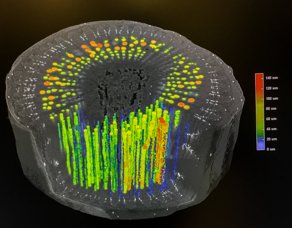 HRCT image of plant xylem